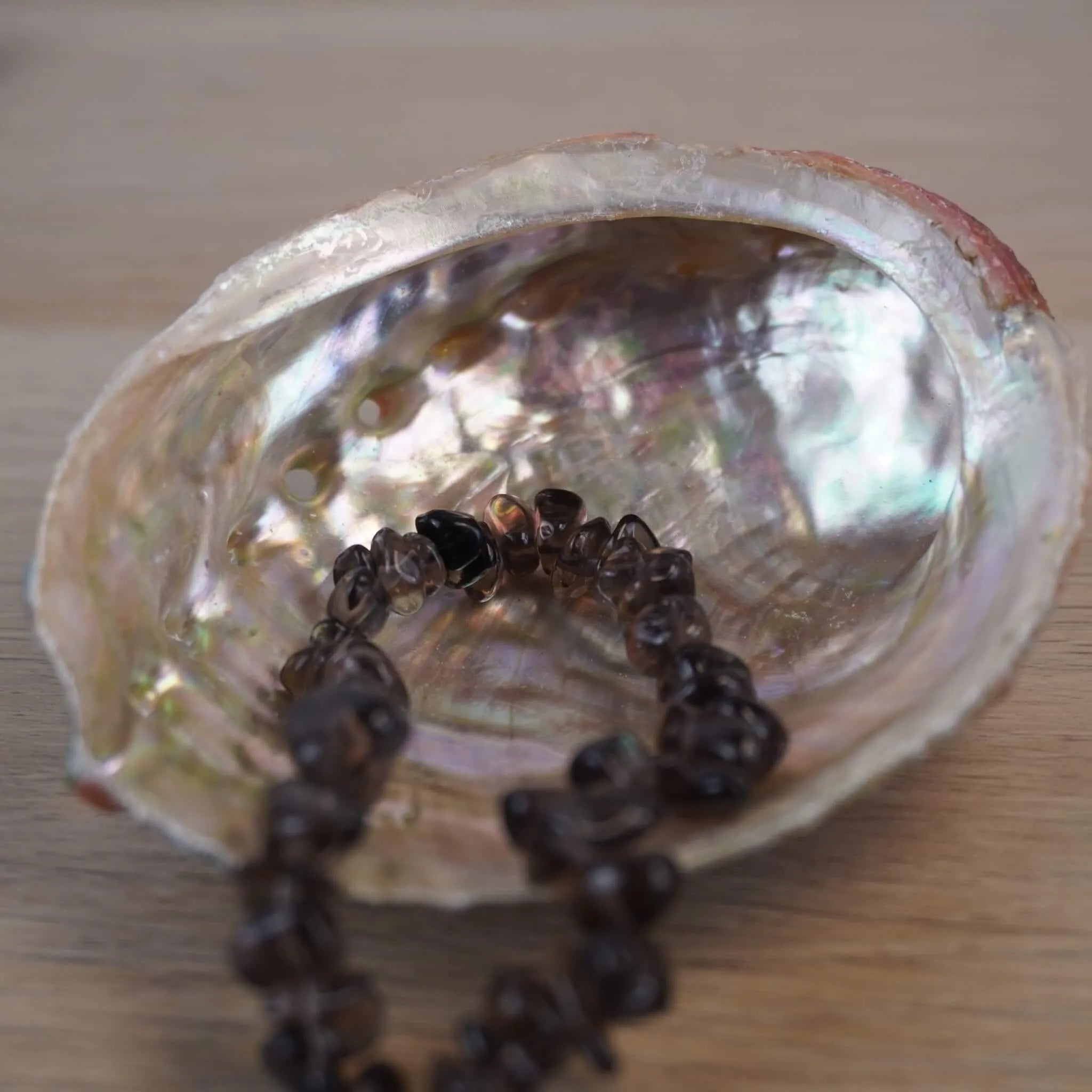 Abalone Muschel mit dekorativem Armband als Schmuckschale arrangiert