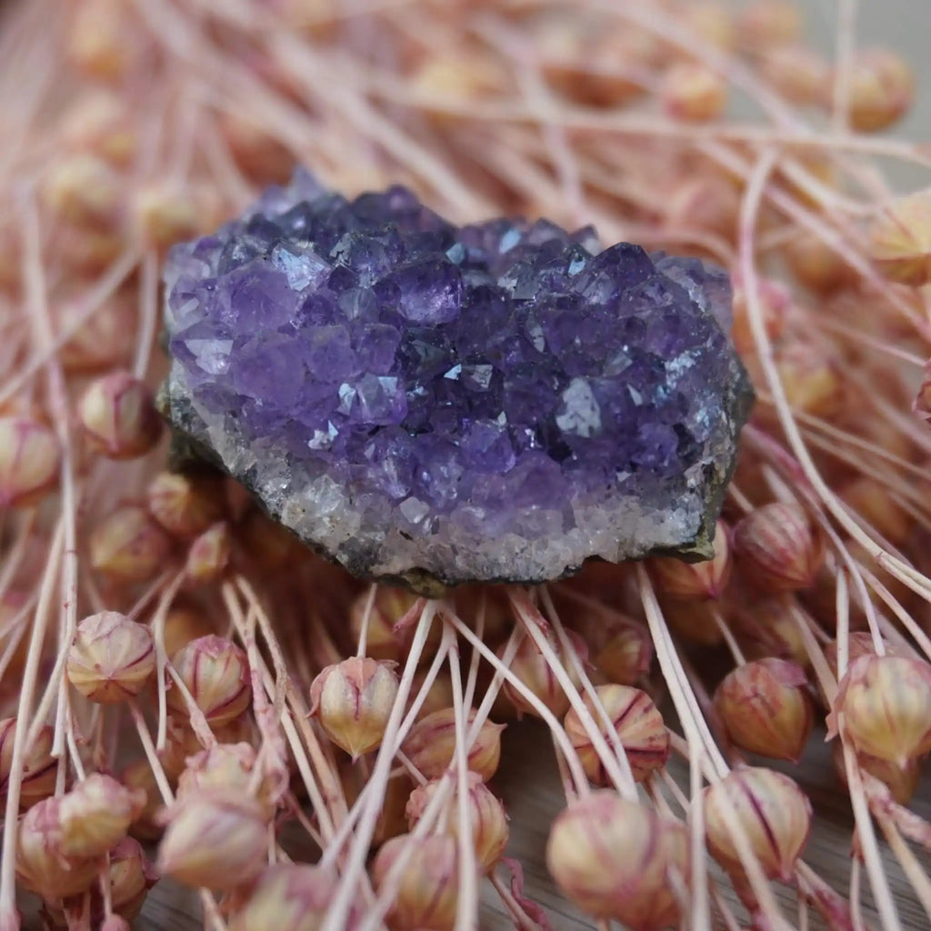 Amethystdruse auf rosa Blütenknospen