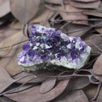 Amethystdruse auf braunen Blättern