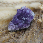 Amethystdruse auf getrocknetem Ziergras