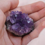 Amethystdruse in einer Hand gehalten