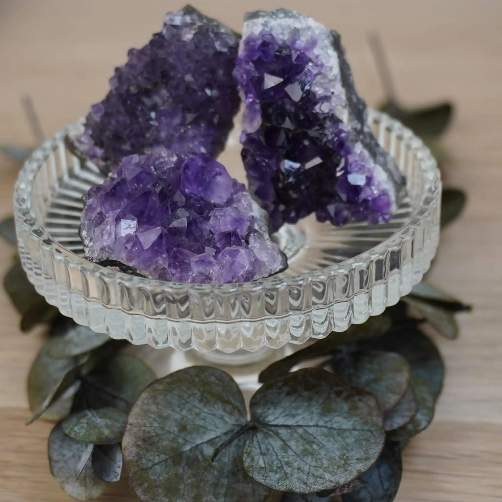 Drei Amethystdrusen in Glas-Schale mit Eukalyptusdeko