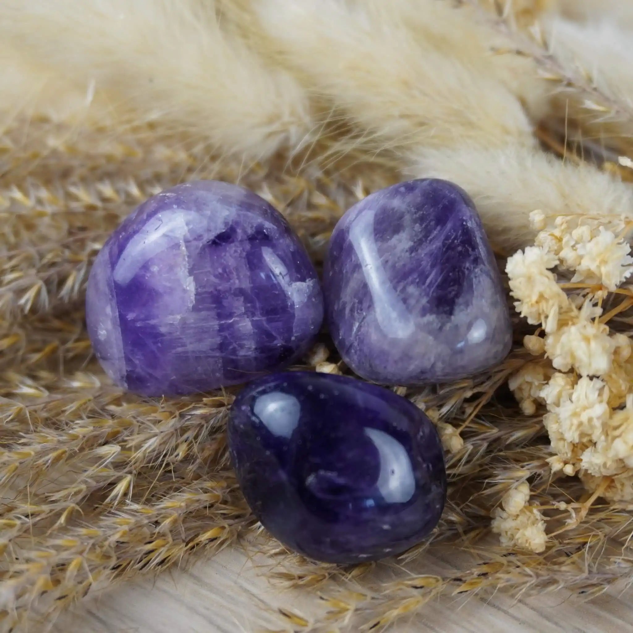 Amethyst Trommelsteine auf trockenen Naturgräsern