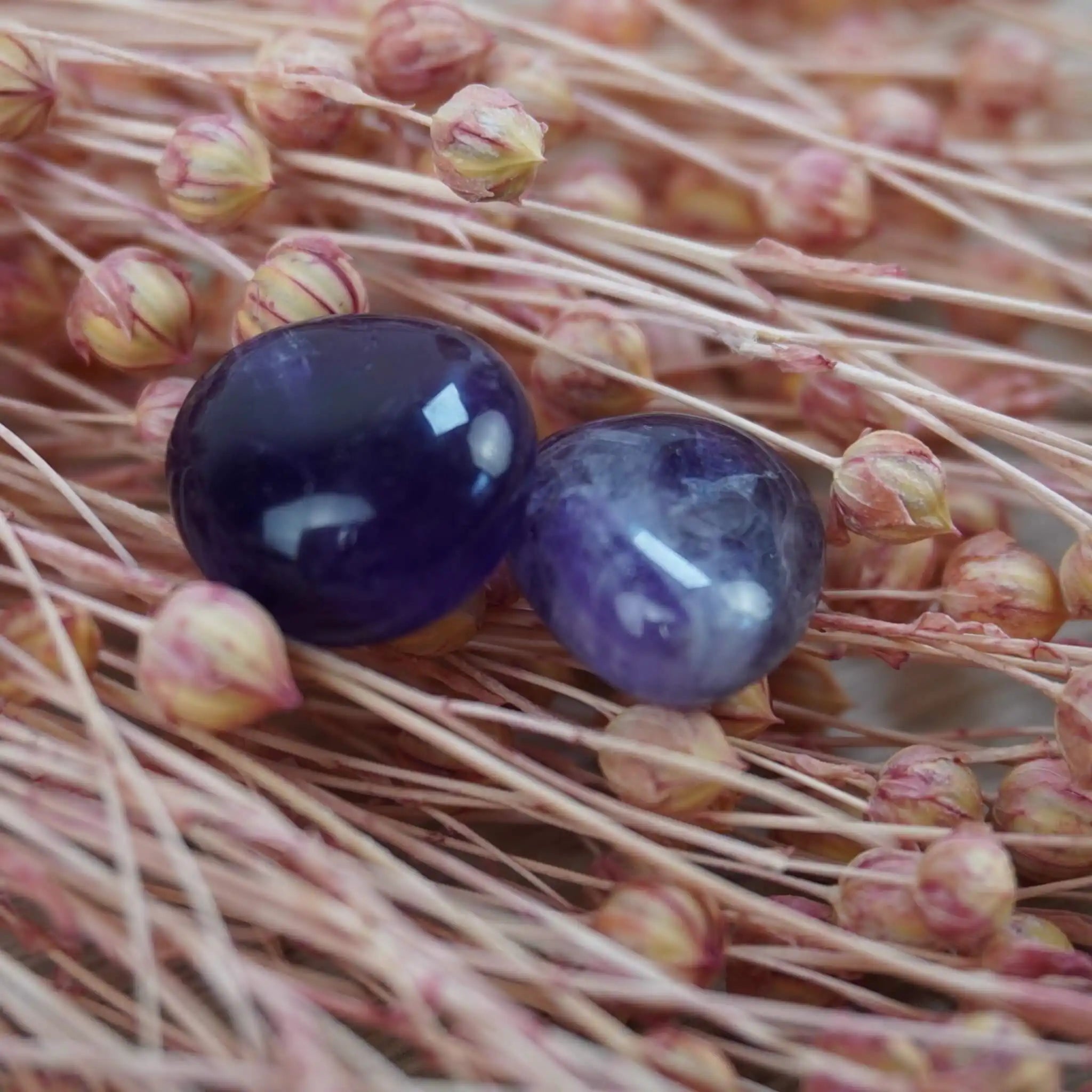Amethyst Trommelstein auf trockenen Blütenständen