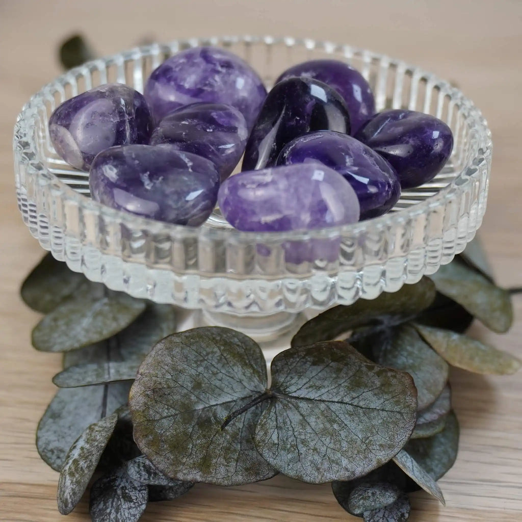 Mehrere Amethyst Trommelsteine in einer Glas-Schale mit Deko-Blättern