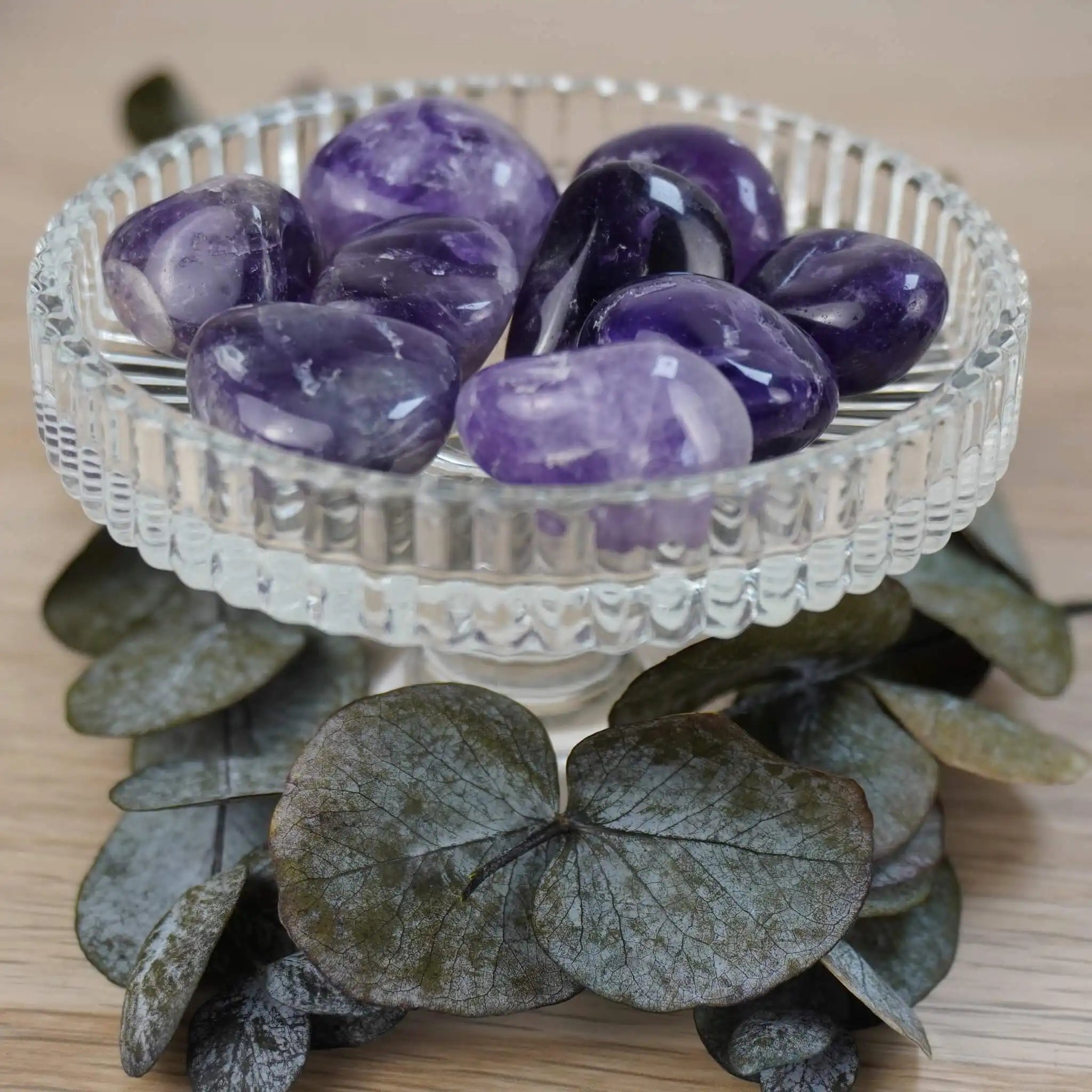 Mehrere Amethyst Trommelsteine in einer Glas-Schale mit Deko-Blättern