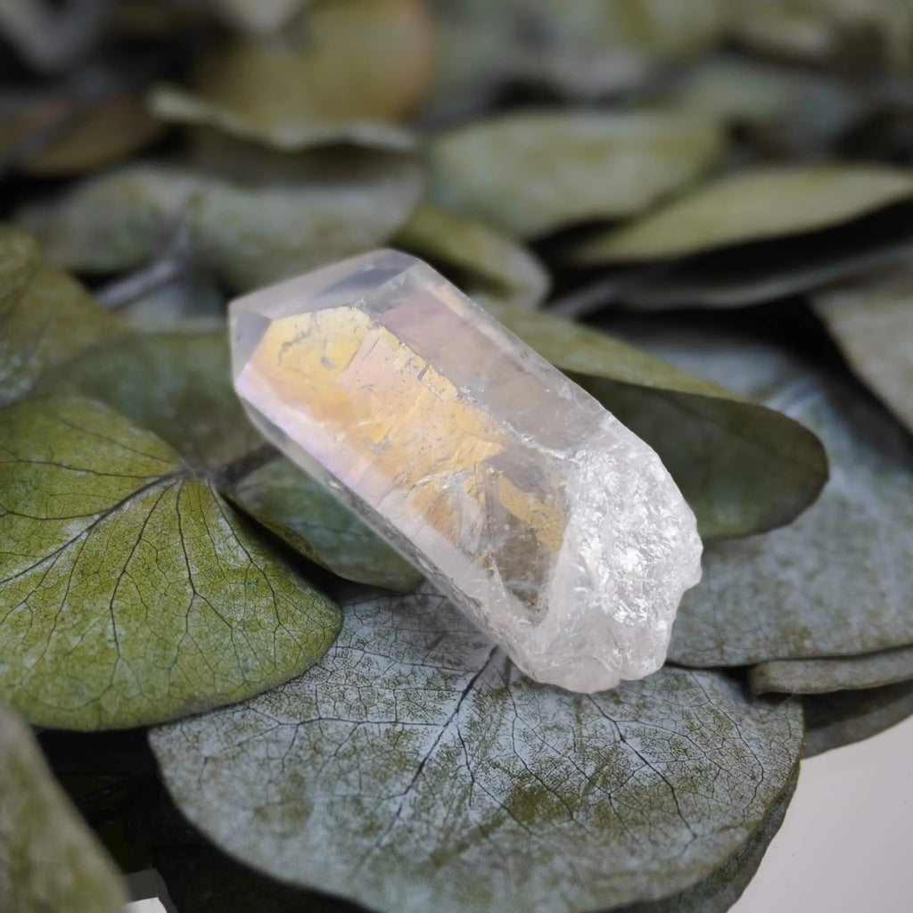 Angel Aura Bergkristall Spitze auf grünen Blättern mit zartem Regenbogeneffekt