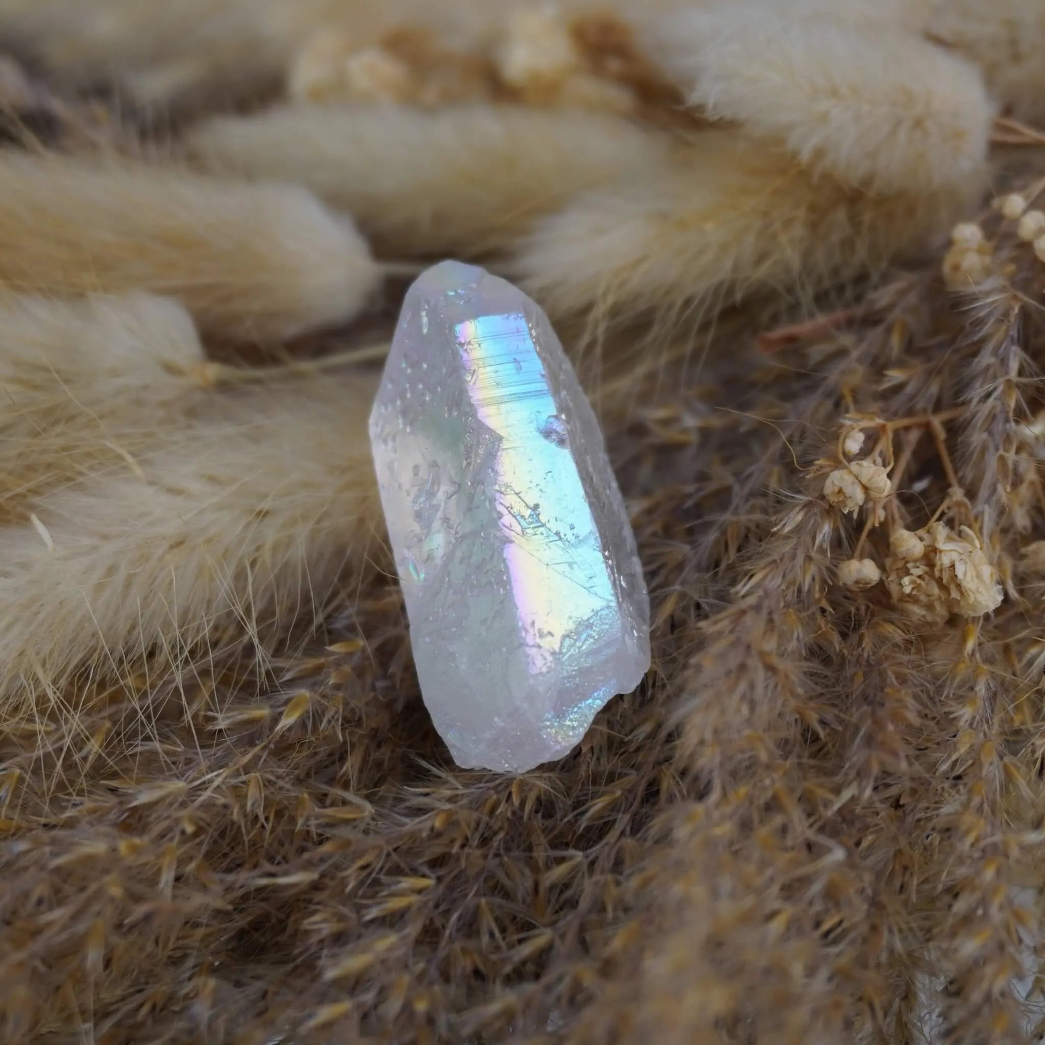 Angel Aura Bergkristall Spitze zwischen beigen Trockenblumen arrangiert