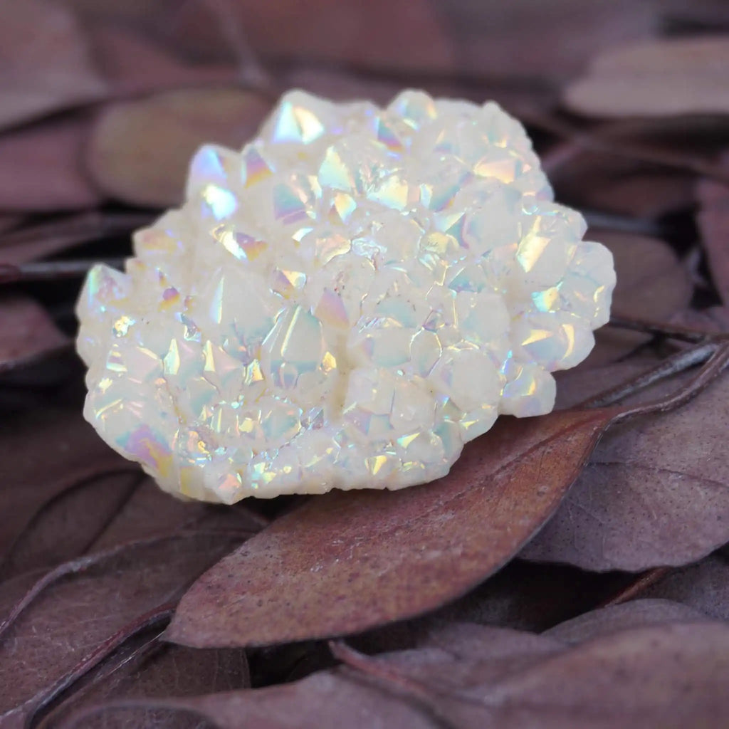 Angel Aura Cluster Kristall mit schillernden Regenbogenfarben auf braunen Blättern
