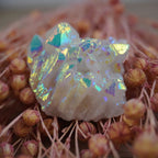 Angel Aura Cluster Kristall mit irisierenden Farben auf getrockneten Blüten