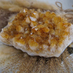 Citrin Cluster mit intensiven Honigtönen auf beigen Trockenpflanzen arrangiert