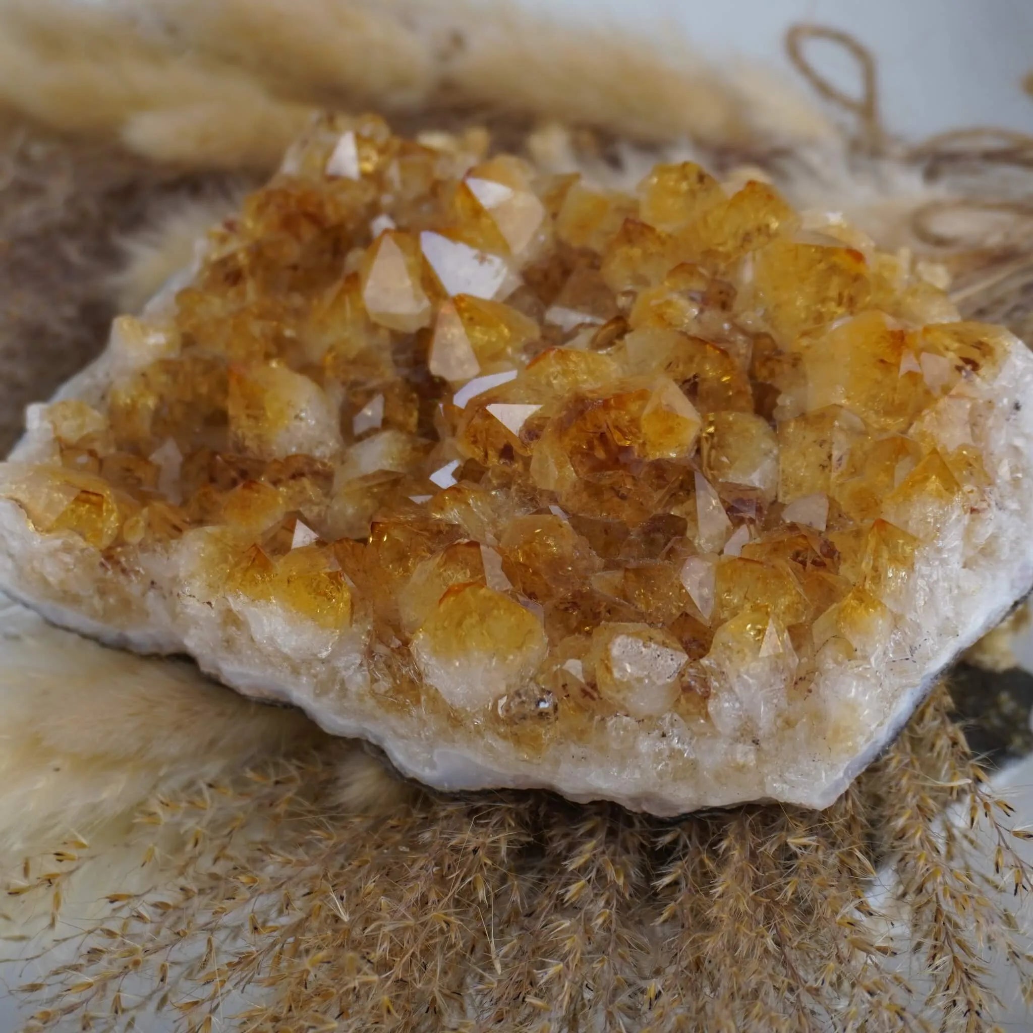 Citrin Cluster mit intensiven Honigtönen auf beigen Trockenpflanzen arrangiert