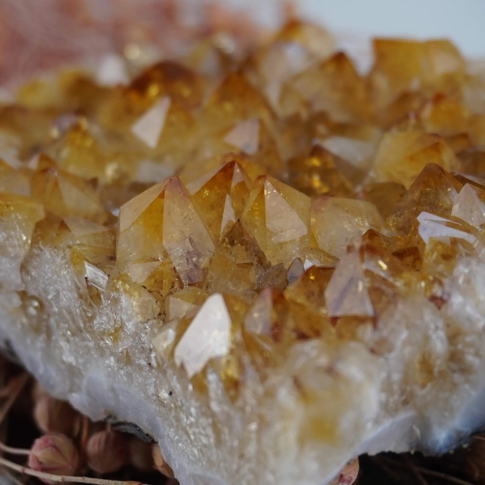 Detailaufnahme der goldgelben Kristallspitzen eines Citrin Clusters