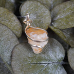 Citrin Kettenanhänger mit silberfarbener Fassung auf Eukalyptusblättern