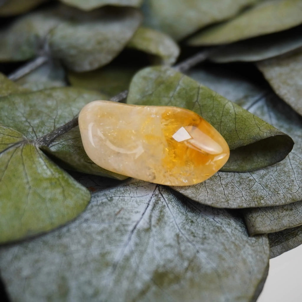 Polierter Citrin Trommelstein in warmem Gelbton auf grünen Eukalyptusblättern