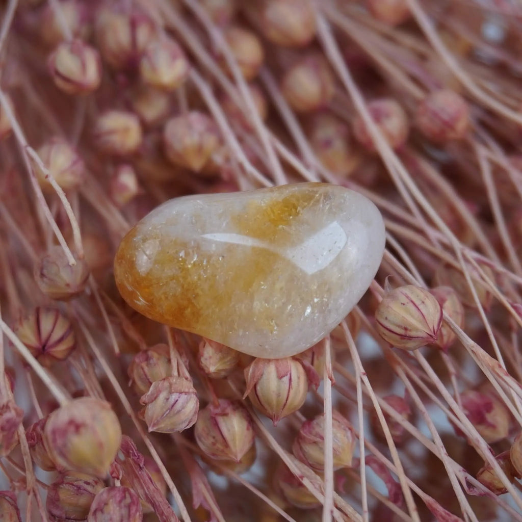 Heller Citrin Trommelstein dekoriert auf rosafarbenen Trockenblumen