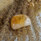 Gelb goldener Citrin Trommelstein eingebettet in beige Trockenpflanzen