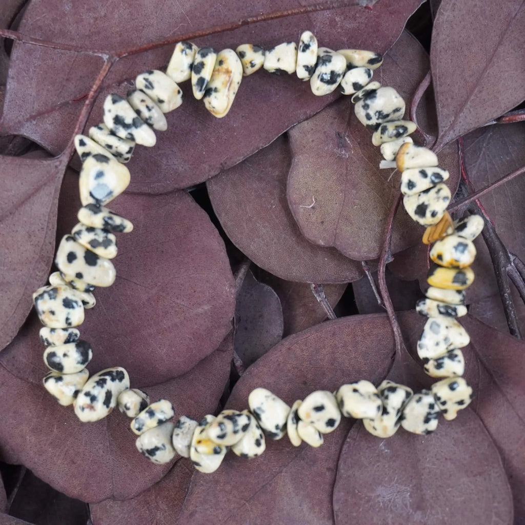Dalmatiner Jaspis Splitterarmband auf violett-braunen Blättern dekoriert