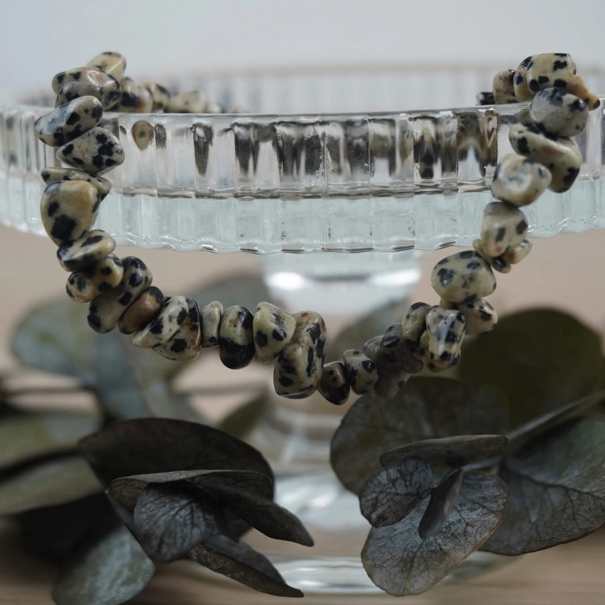 Dalmatiner Jaspis Splitterarmband stilvoll auf Glas-Schale mit Eukalyptus präsentiert