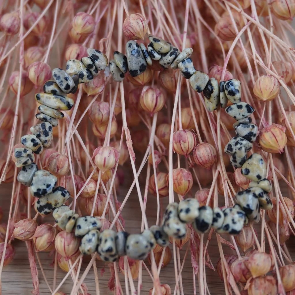 Dalmatiner Jaspis Splitterarmband vor rosafarbenen Trockenblumen, lebendiger Kontrast