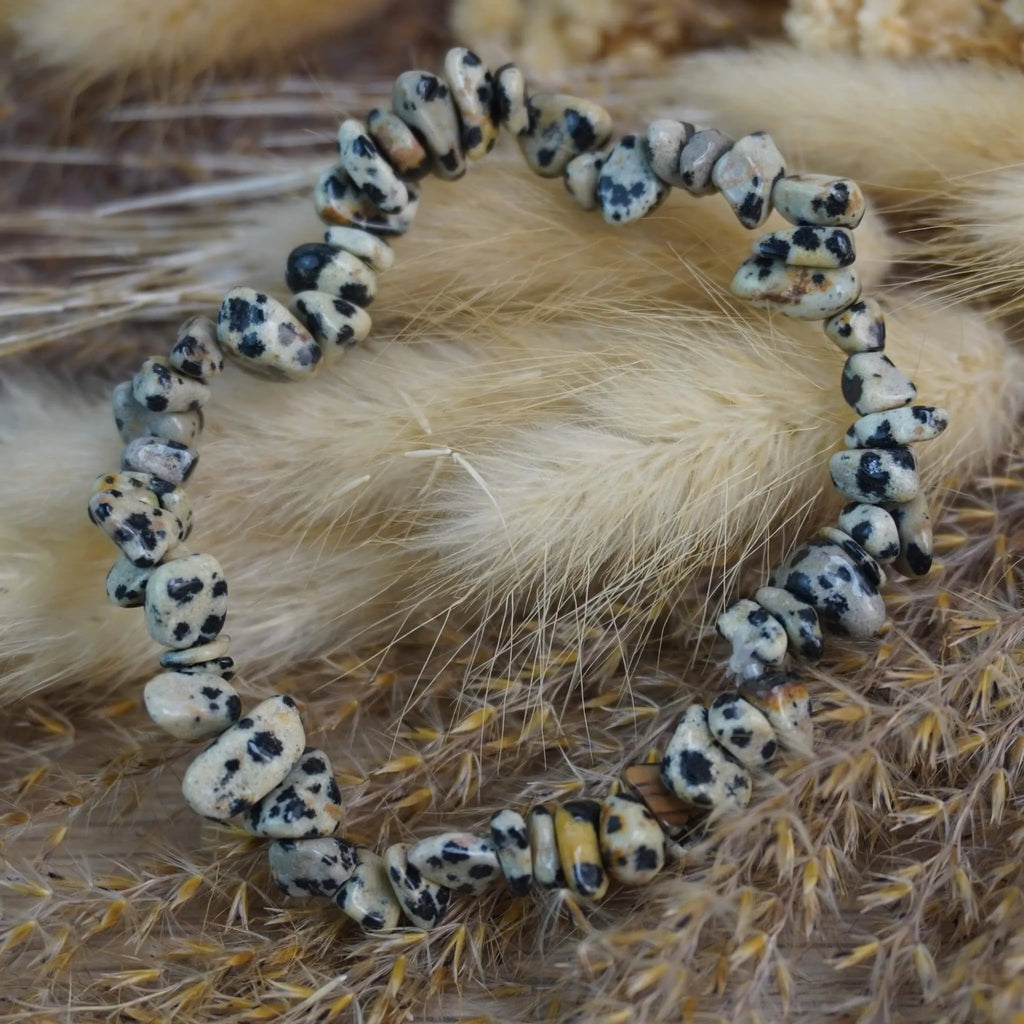 Dalmatiner Jaspis Splitterarmband auf beigen Trockenblumen im Boho-Look