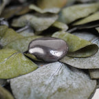 Glänzender Hämatit Trommelstein auf grünen Eukalyptusblättern arrangiert