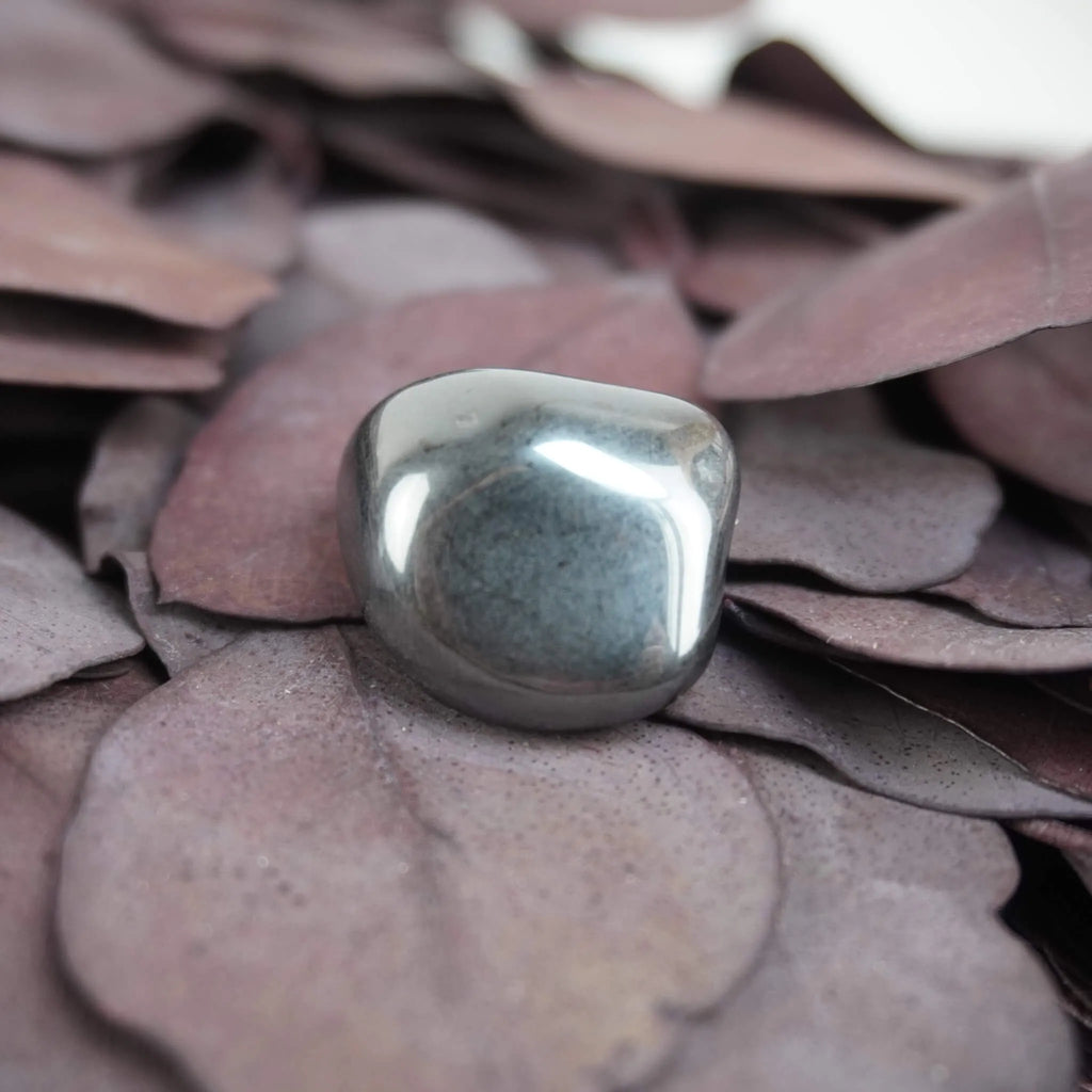 Hämatit Trommelstein mit Spiegelung auf lila Trockenblättern