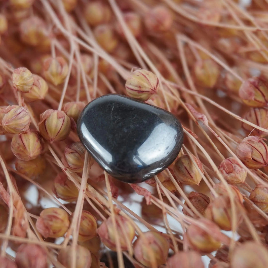Glatter Hämatit Trommelstein auf rosafarbenen Trockenblumen