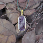 Halskette mit Amethyst Anhänger auf braunen Blättern