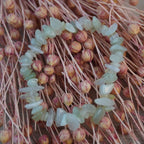 Jade Splitterarmband vor rosafarbenen Trockenblumen, sanfter Farbkontrast