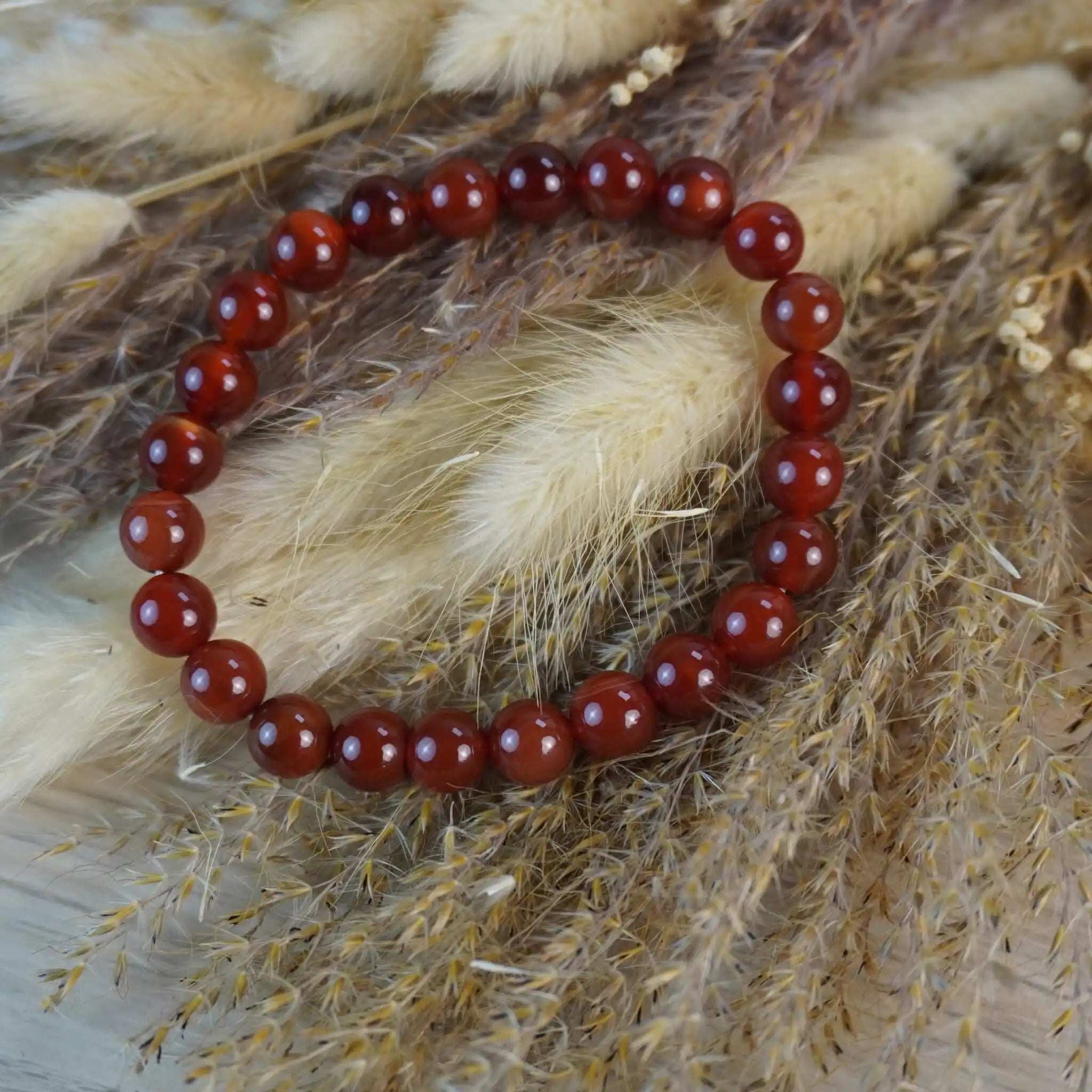 Karneol Kugelarmband dekorativ auf Naturgräsern