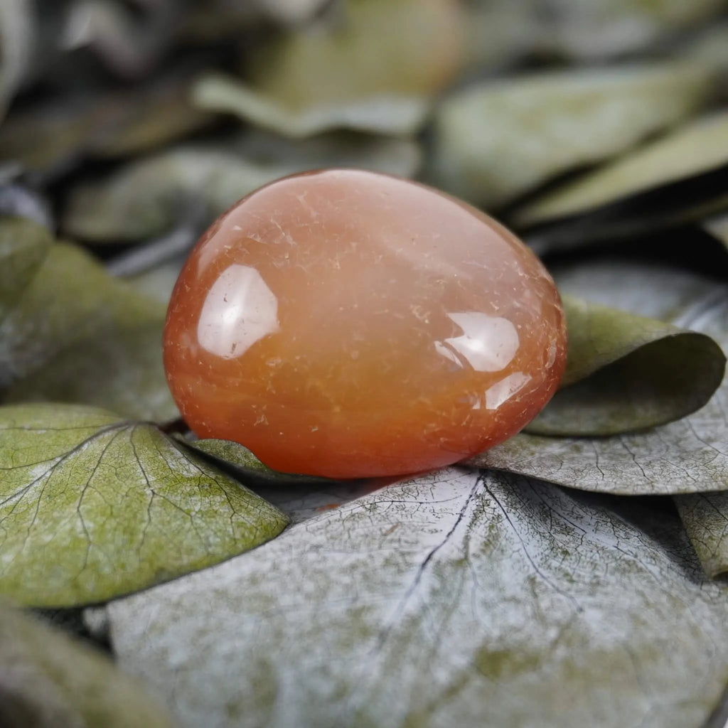 Karneol Trommelstein arrangiert auf grünen Eukalyptusblättern