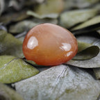 Karneol Trommelstein arrangiert auf grünen Eukalyptusblättern