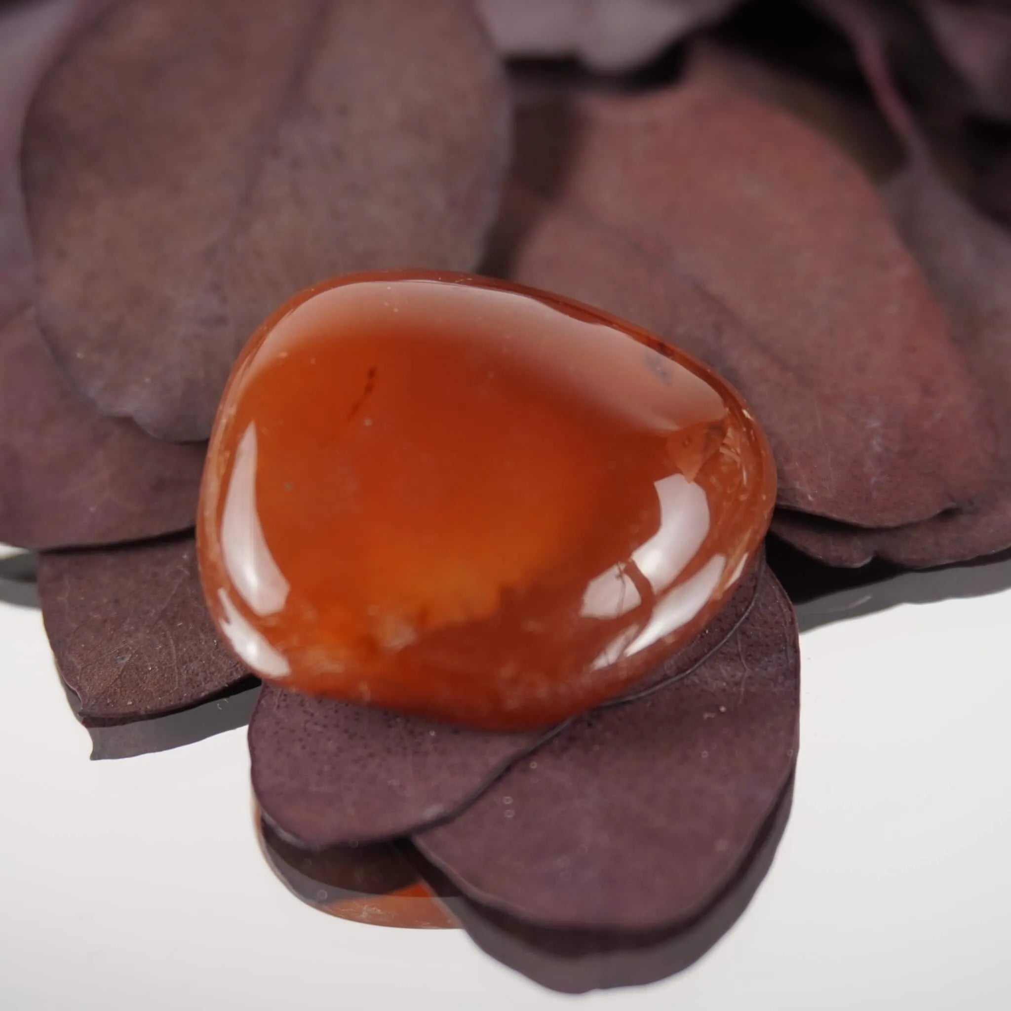 Leuchtend orangefarbener Karneol Trommelstein auf dunkellila Trockenblättern