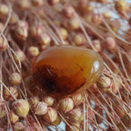 Karneol Trommelstein in transparentem Orange auf rosa Trockenblumen