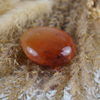 Karneol Trommelstein dekoriert  auf feinen beigen Ziergräsern