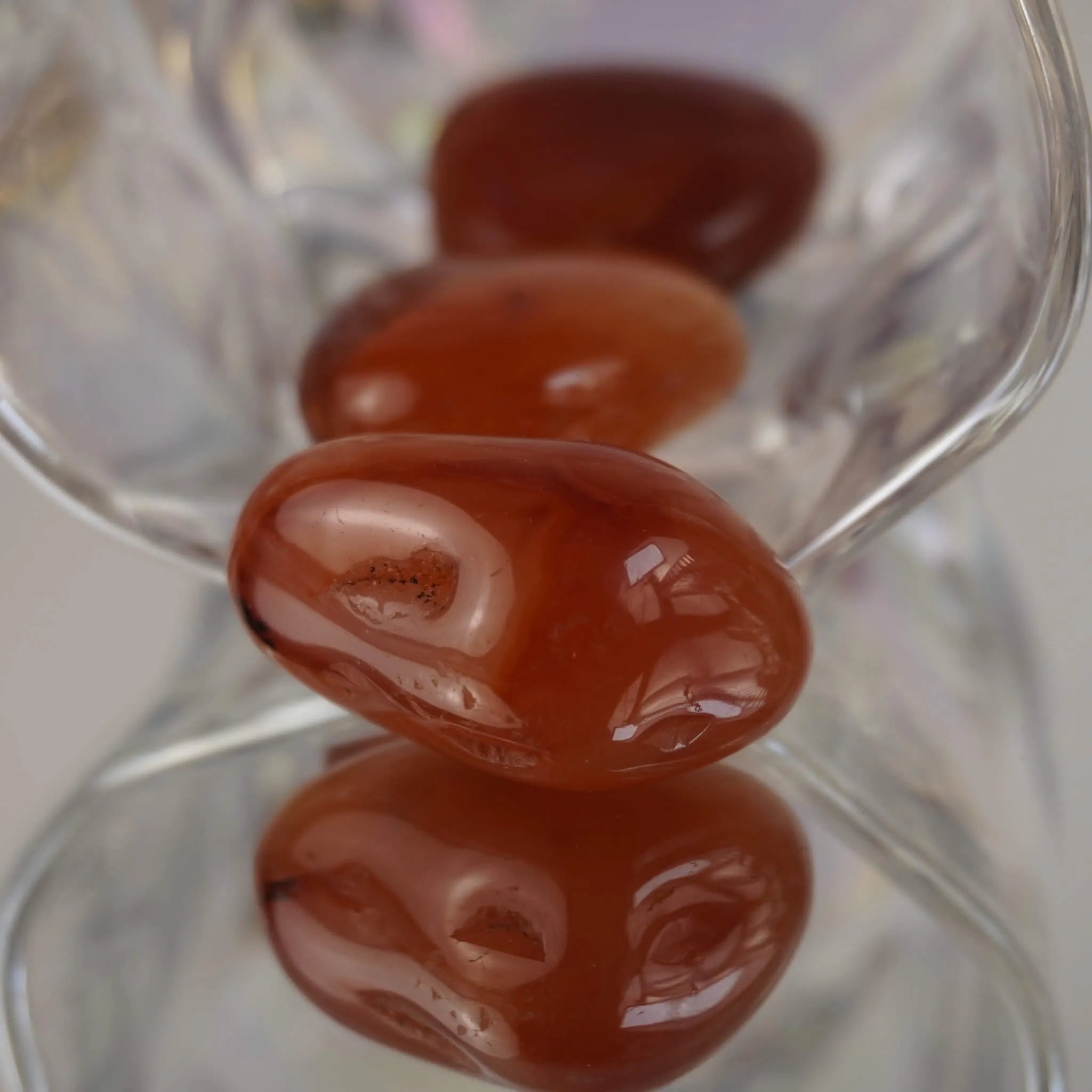 Mehrere Karneol Trommelsteine in transparenter Glasschale mit Spiegelung arrangiert