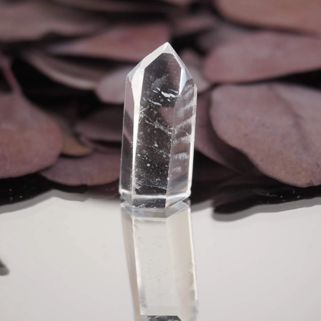 Transparente klare Bergkristall Spitze mit Spiegelung auf lila Trockenblättern