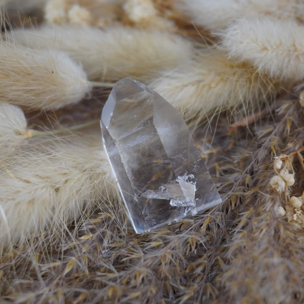 Klare Bergkristall Spitze mit Einschlüssen auf beigen Ziergräsern arrangiert