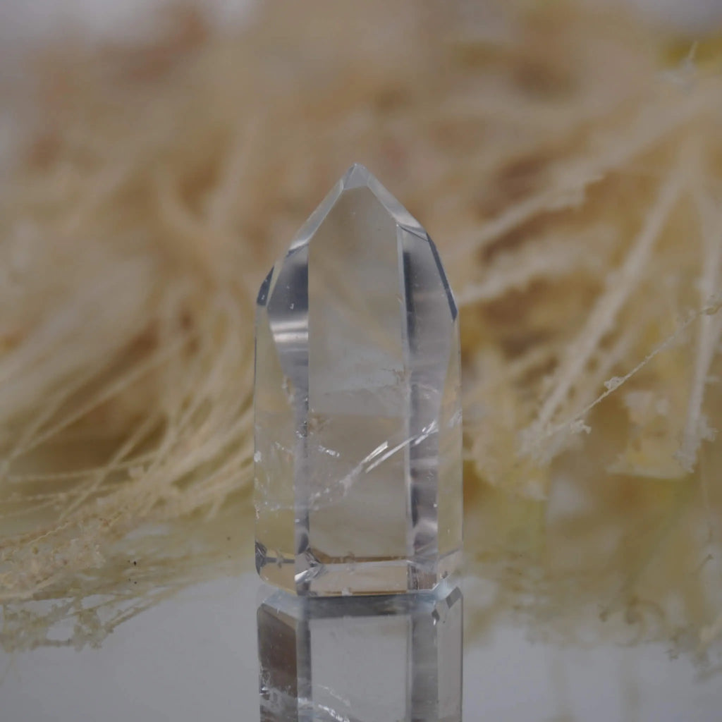 Einzelne klare Bergkristall Spitze mit Spiegelung vor beigen Ziergräsern
