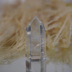 Einzelne klare Bergkristall Spitze mit Spiegelung vor beigen Ziergräsern