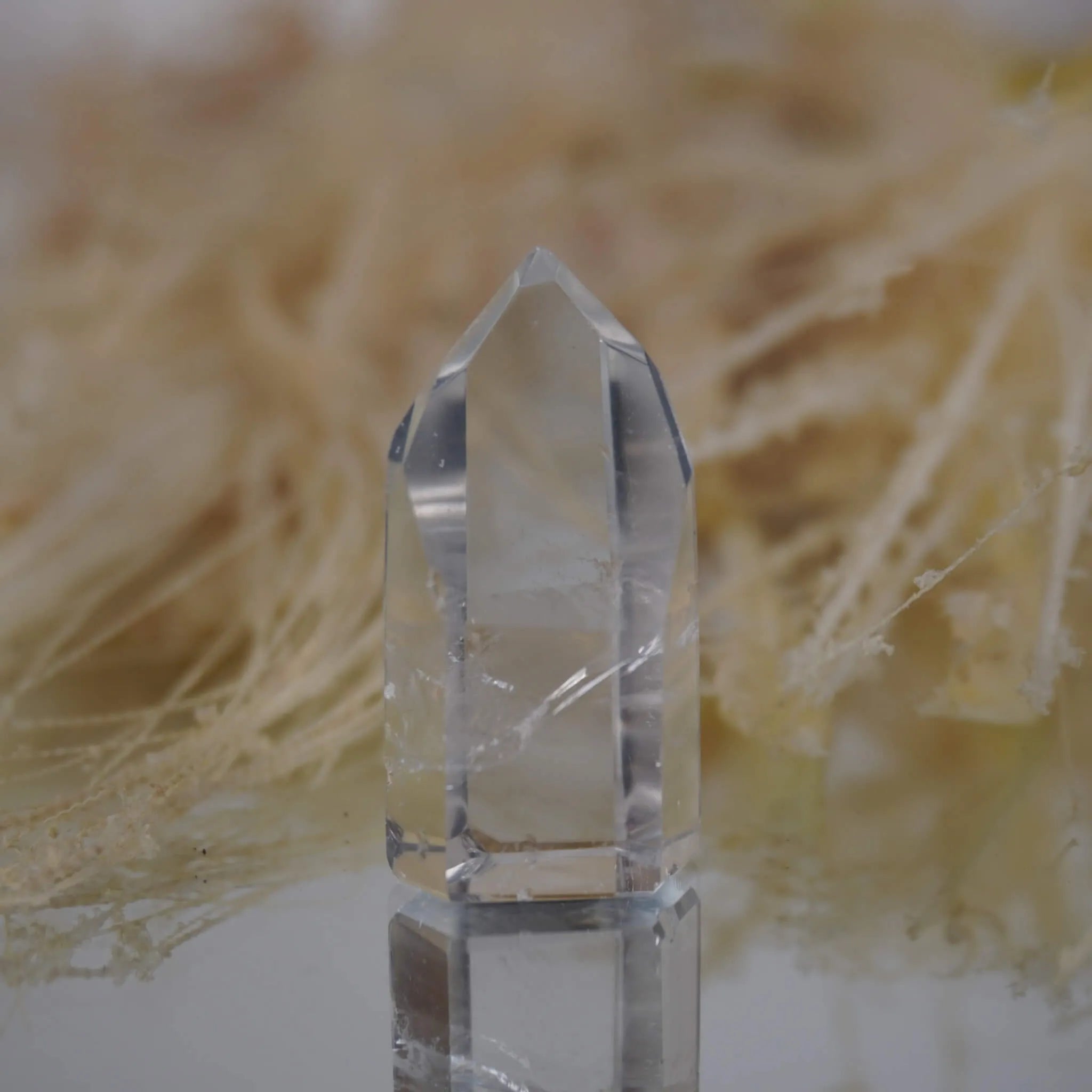 Einzelne klare Bergkristall Spitze mit Spiegelung vor beigen Ziergräsern