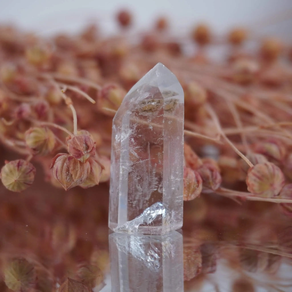 Aufrecht stehende klare Bergkristall Spitze mit Einschlüssen vor rosa Trockenblumen