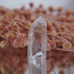 Aufrecht stehende klare Bergkristall Spitze mit Einschlüssen vor rosa Trockenblumen