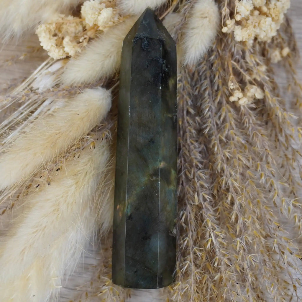 Labradorit Obelisk Edelstein auf Naturdekoration mit Pampasgras und Blüten