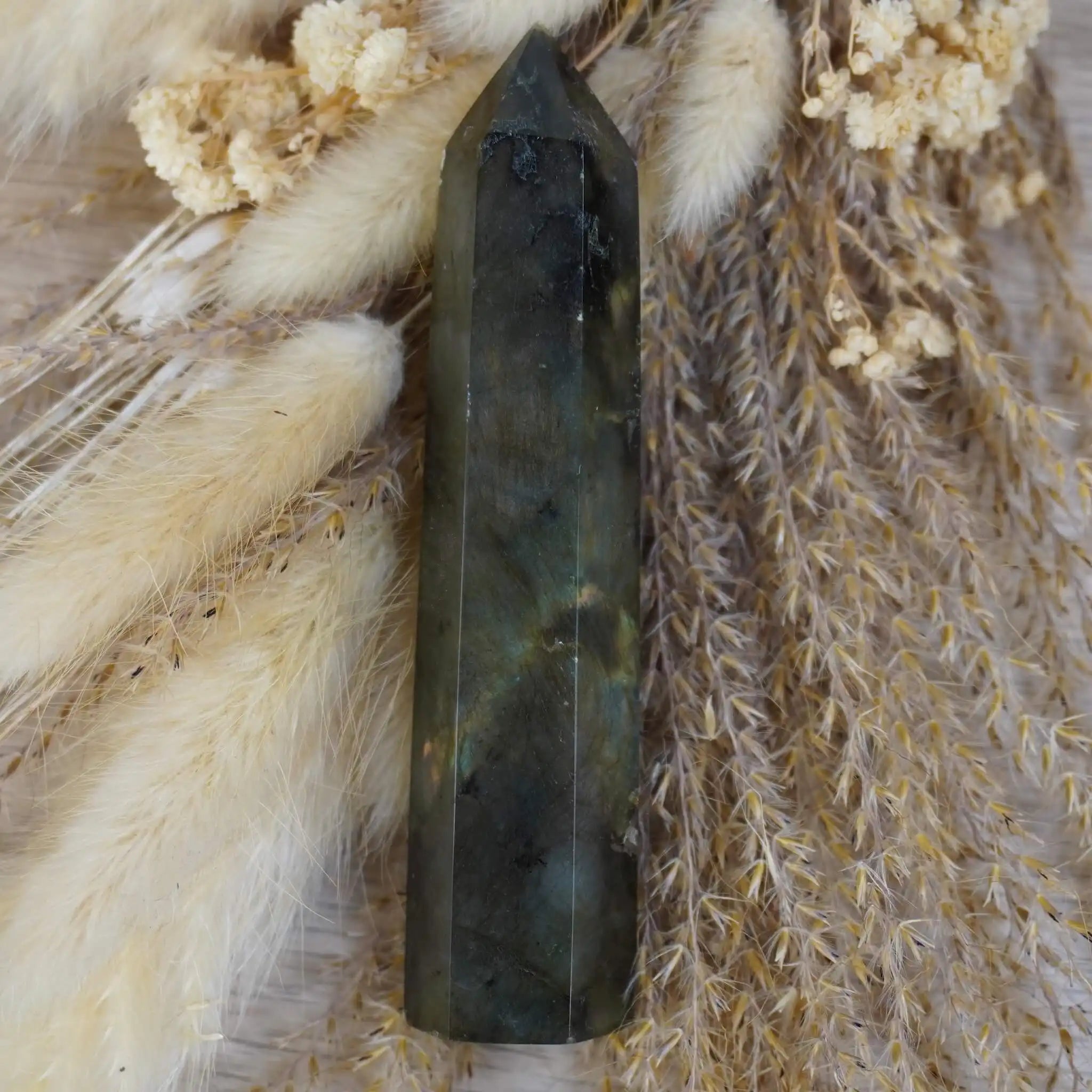 Labradorit Obelisk Edelstein auf Naturdekoration mit Pampasgras und Blüten