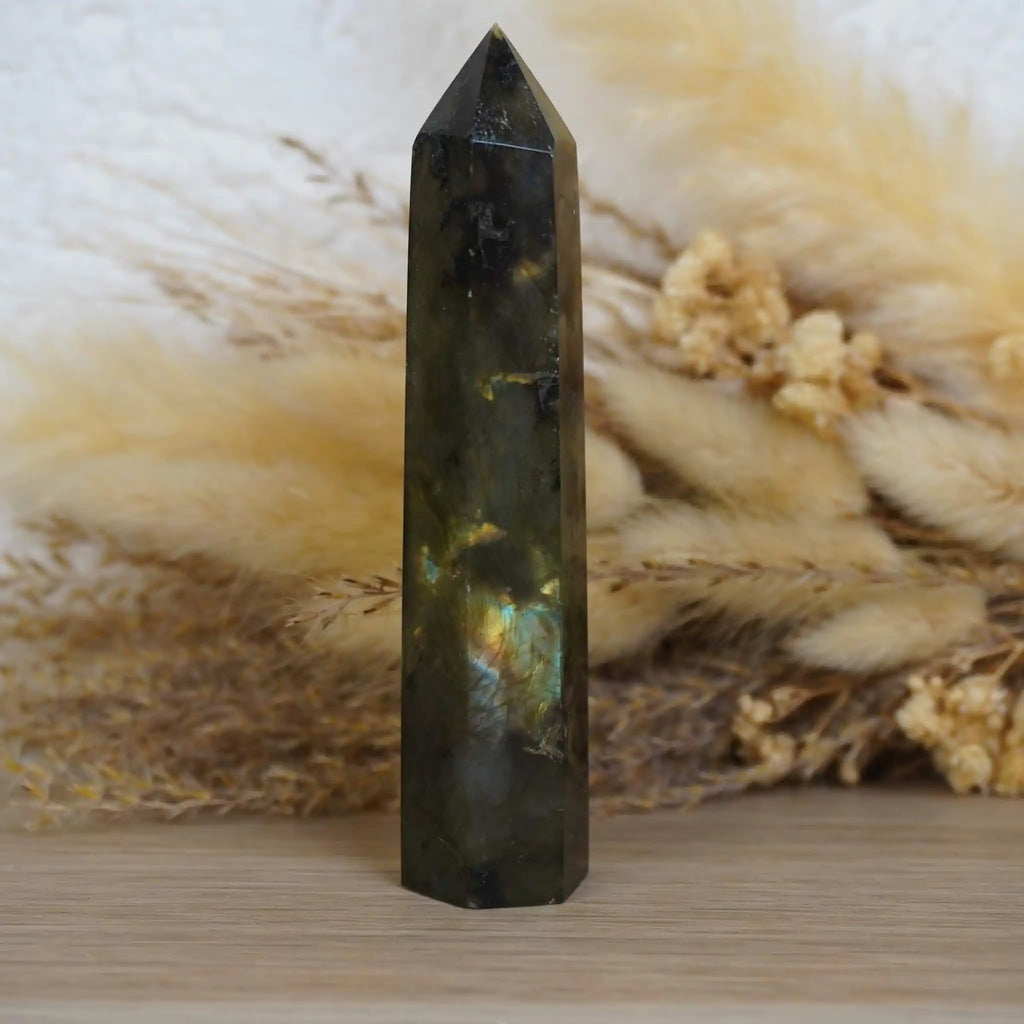 Stehender Labradorit Obelisk mit Farbspiel vor getrocknetem Pampasgras