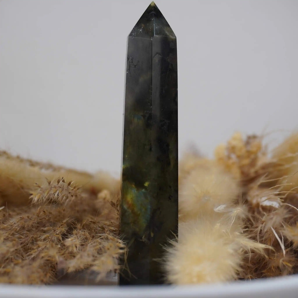 Einzelner Labradorit Obelisk mit farbigem Schimmer vor Trockenblumen