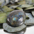 Labradorit Trommelstein mit blaugrünem Schimmer auf grünen Eukalyptusblättern