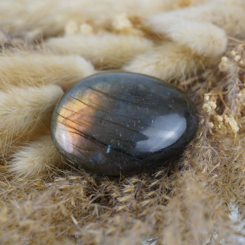 Labradorit Trommelstein mit goldenem Farbspiel auf beigen Trockenpflanzen